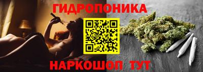 прущие грибы Нарткала